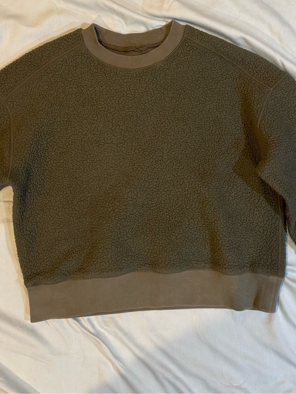 Everlane Olive Green Crewneck Sweater